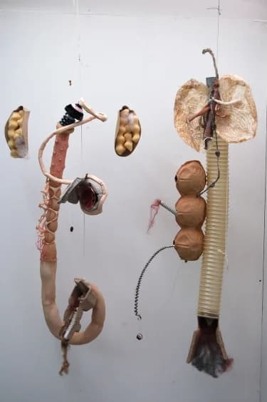 Asiya Clarke archive artwork