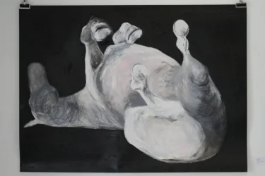 Julie Cooper archive image 3