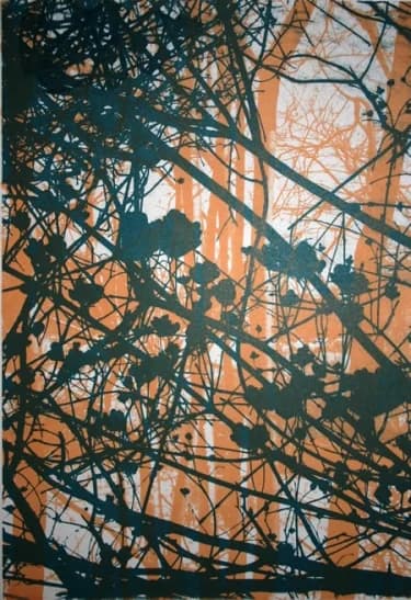Julie Scarr archive image 3