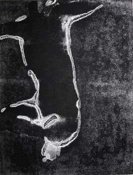Liz Boast archive artwork